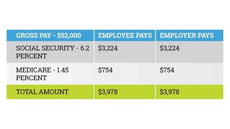 How To Calculate Payroll Taxes For A Small Business Peo And Human